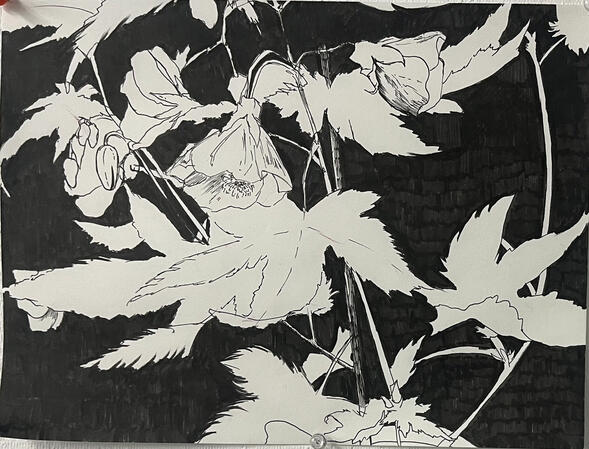 Isabella Museum Study